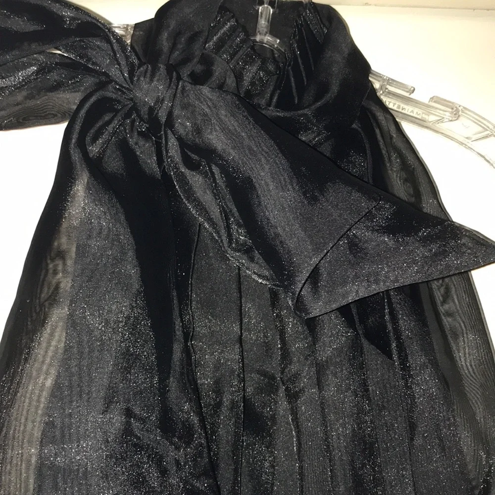 Zara Black Organza Dress - Picture 7 of 8